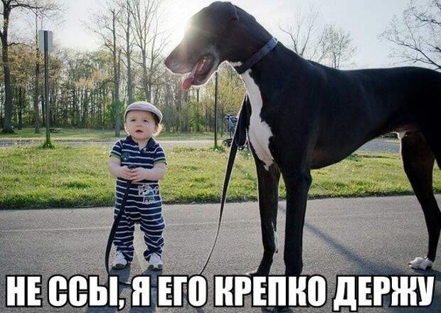 Позитивные и смешные картинки с надписями на утро (11 фото) Позитивные и смешные картинки с надписями на утро (11 фото)