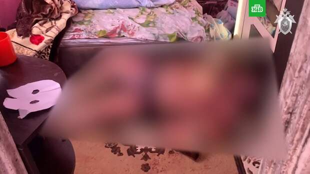 Юноша и его 14-летняя подруга признали вину в убийстве трех человек в Омской области