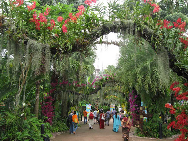 9 самых больших и красивых ботанических садов на планете