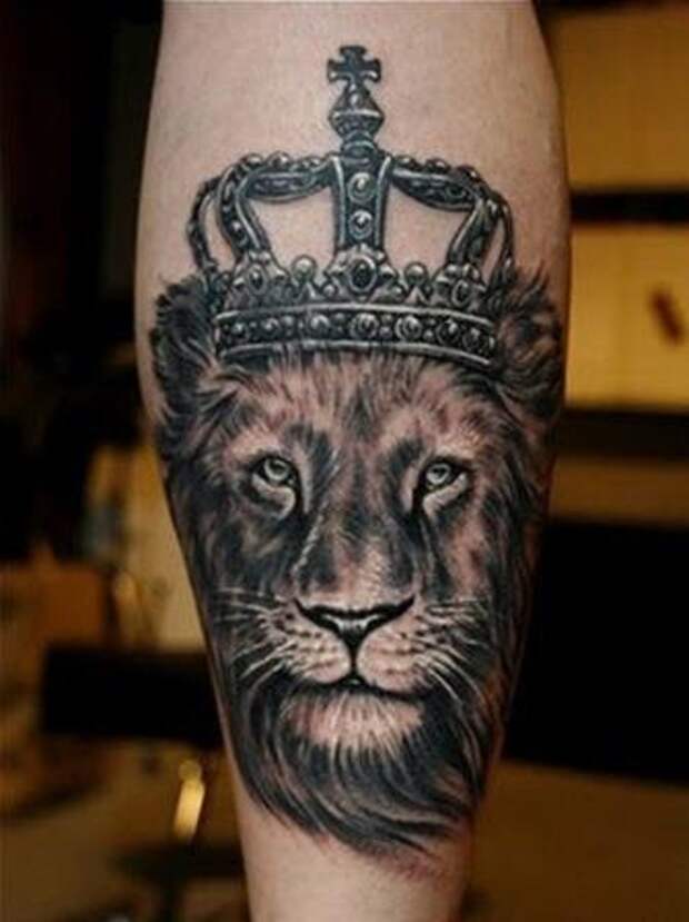тату лев с короной фото — "Царь зверей"
