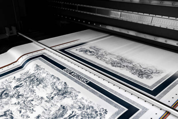 Фото: пресс-служба