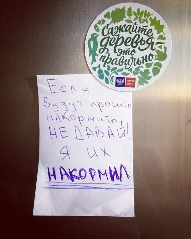 Поймут те, у кого есть животные