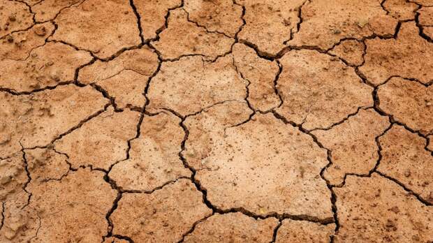Российские регионы находятся под угрозой летней засухи – Вильфанд