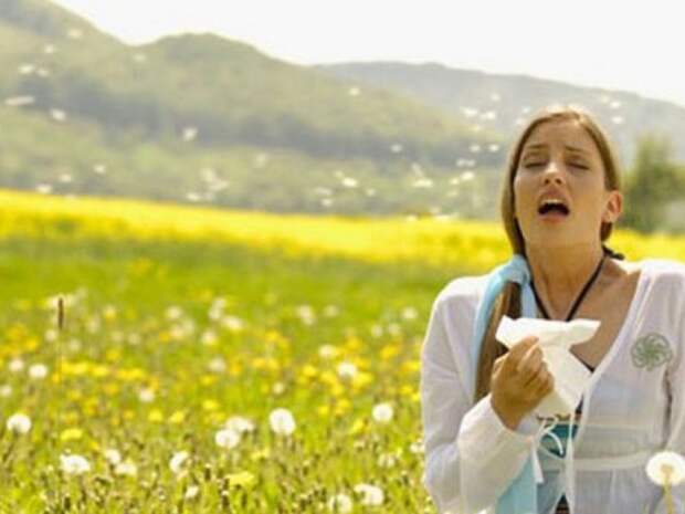 Спасаемся от аллергии народными средствами: приятно и безопасно