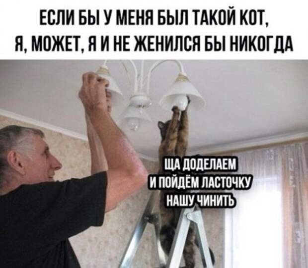 Подборка прикольных картинок!