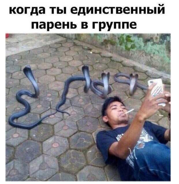 Прикольчики в стиле "Когда..." Прикольчики в стиле "Когда..."