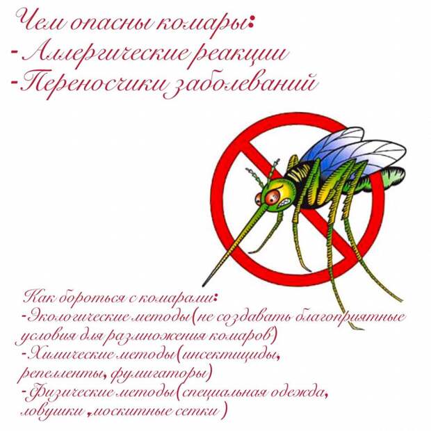 Все о комарах