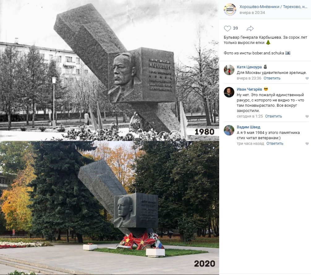Фото дня: когда деревья стали большими