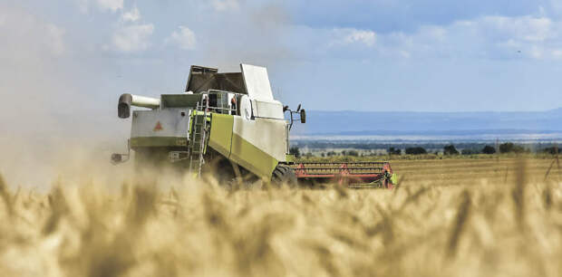 Уникальное медоборудование и крымский бренд: главные события августа 2025 года в Крыму