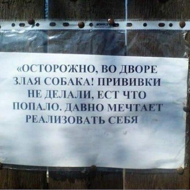 16 убойных объявлений, которые мог написать только человек с нашим менталитетом