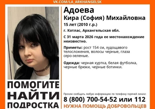 МВД: пропавшую в Котласе девочку в последний раз видели возле лесозавода