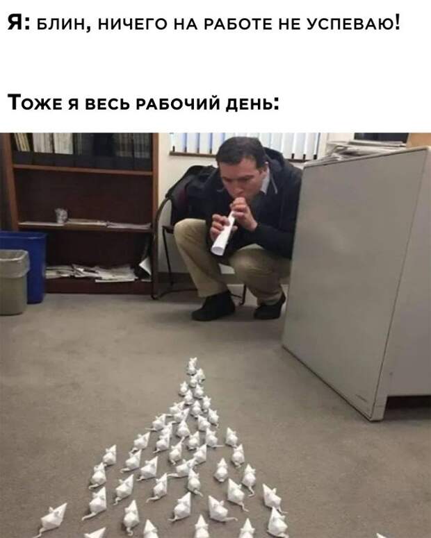 Смешные картинки 25 марта 2022 года