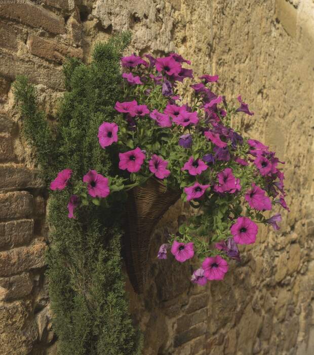 Города Тосканы: Pienza