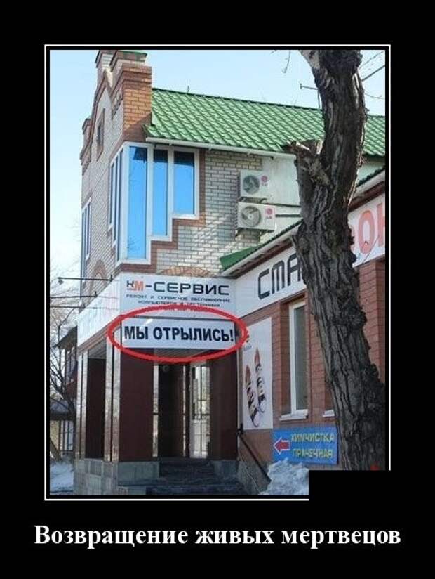 Демотиваторы Демотиваторы