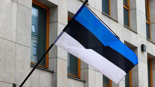 В США не смогли найти задачи для Эстонии в войне против Ирана