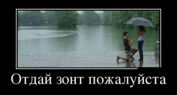 Обо всём.