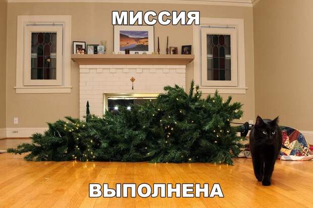 Подборка веселых фото и смешных картинок с надписью (10 фото) Подборка веселых фото и смешных картинок с надписью (10 фото)