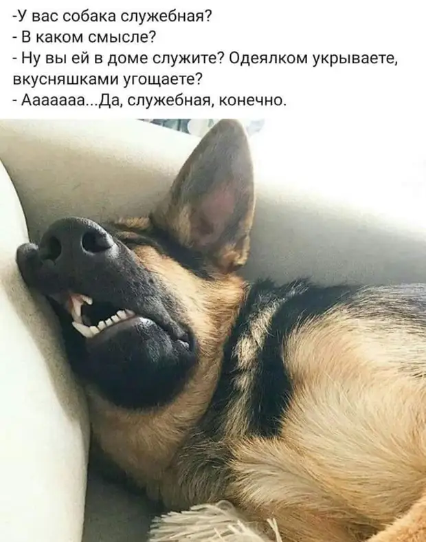 Из всех видов спорта предпочитаю лежачий: силовое скоростное переворачивание с бока на бок Из всех видов спорта предпочитаю лежачий: силовое скоростное переворачивание с бока на бок страна, главная, Включаешь, вечером, знает, стороны, двадцать, вернулись, зятёк, никто, сколько, осталось, вздыхая, проблемаПроводник, томто, налила, приходит, вокзал, узнает, поезд