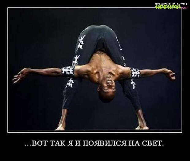 Лучшие демотиваторы на сегодня