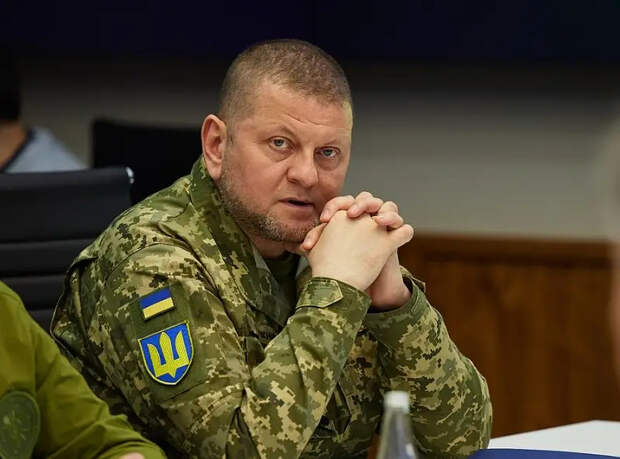 Экс-посол Украины в Великобритании: Залужный столкнётся с усталостью Лондона от помощи Киеву