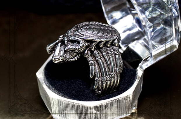 ART-photo-jewellery-joker-ring-kolco-per