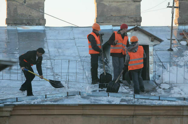 В России прорабатывают инициативы по правилам работы мигрантов