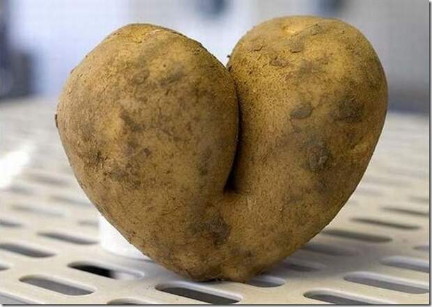 unusual-fruit-and-vegetables14
