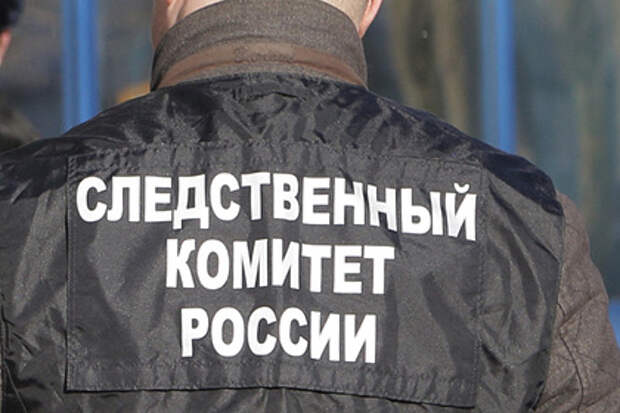 Стали известны подробности об убитой под Воронежем женщине с детьми