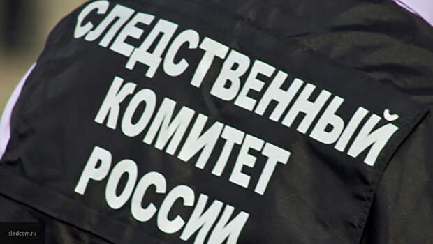 В Петрозаводске задержали мужчину, подозреваемого в убийстве девушки 