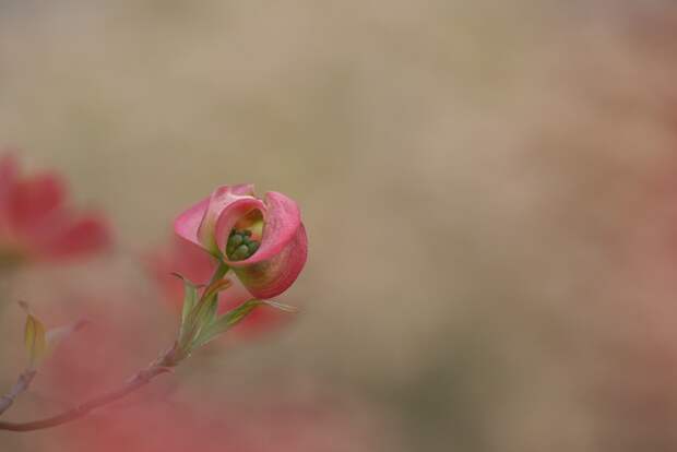 Есть только миг между прошлым и будущем... Есть только миг между прошлым и будущем...