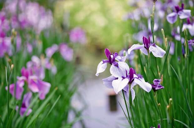Есть только миг между прошлым и будущем... Есть только миг между прошлым и будущем...