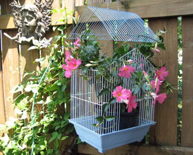 flowers-in-bird-cages-ideas1-2-3 (600x480, 345Kb)