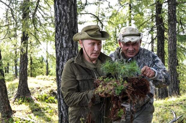 Владимир Путин и Сергей Шойгу. Фото: Алексей Никольский/ТАСС