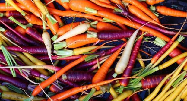 На любой цвет и вкус. \ Фото: yandex.net. На любой цвет и вкус. \ Фото: yandex.net.