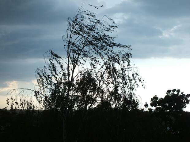 В Прикамье объявлено штормовое предупреждение
