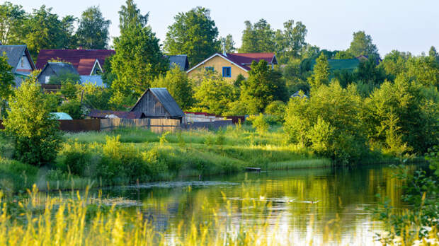 Правила для дачников и садоводов ужесточат с 1 сентября