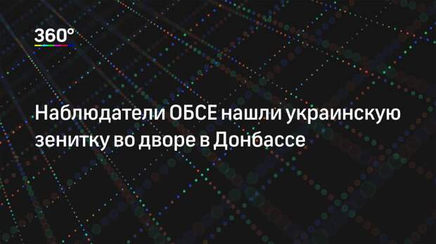 Наблюдатели ОБСЕ нашли украинскую зенитку во дворе в Донбассе