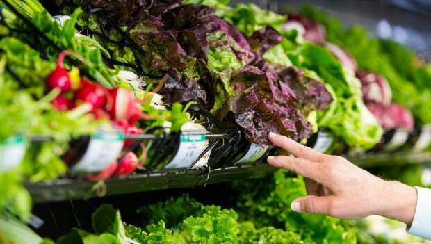 Хлеб, мясо и другие продукты, которые не стоит покупать в супермаркетах России