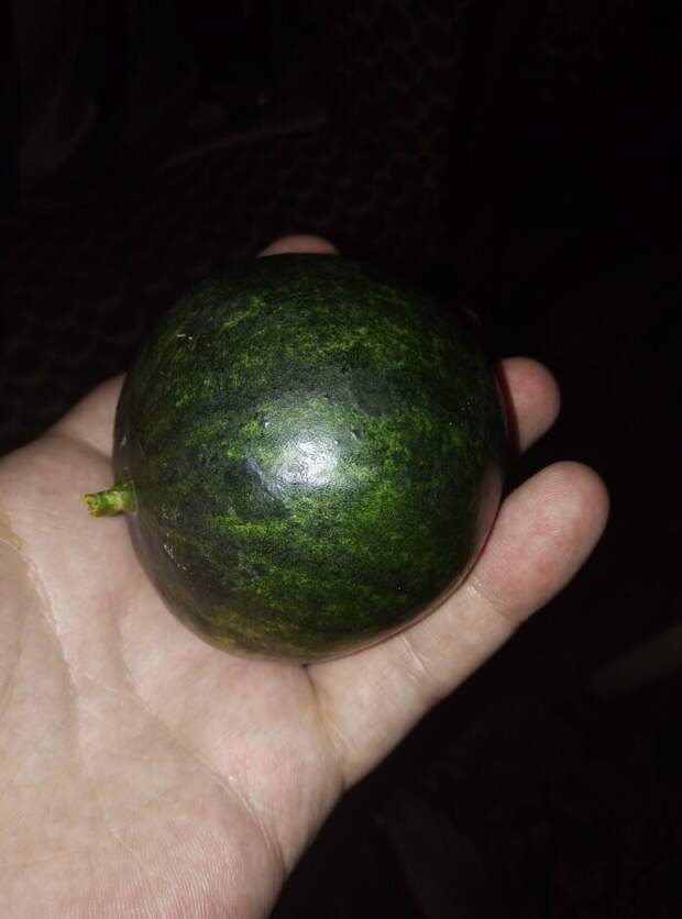 И ничего лишнего