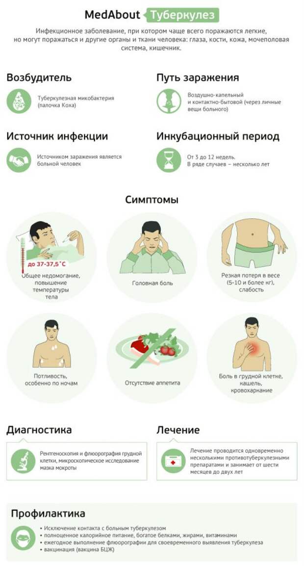 туберкулез-инфографика