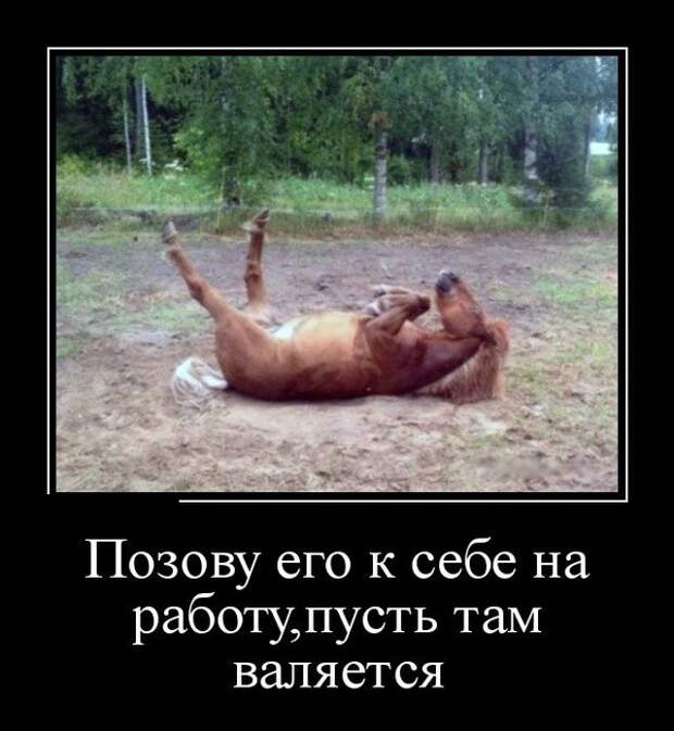 Демотиваторы (30 фото)