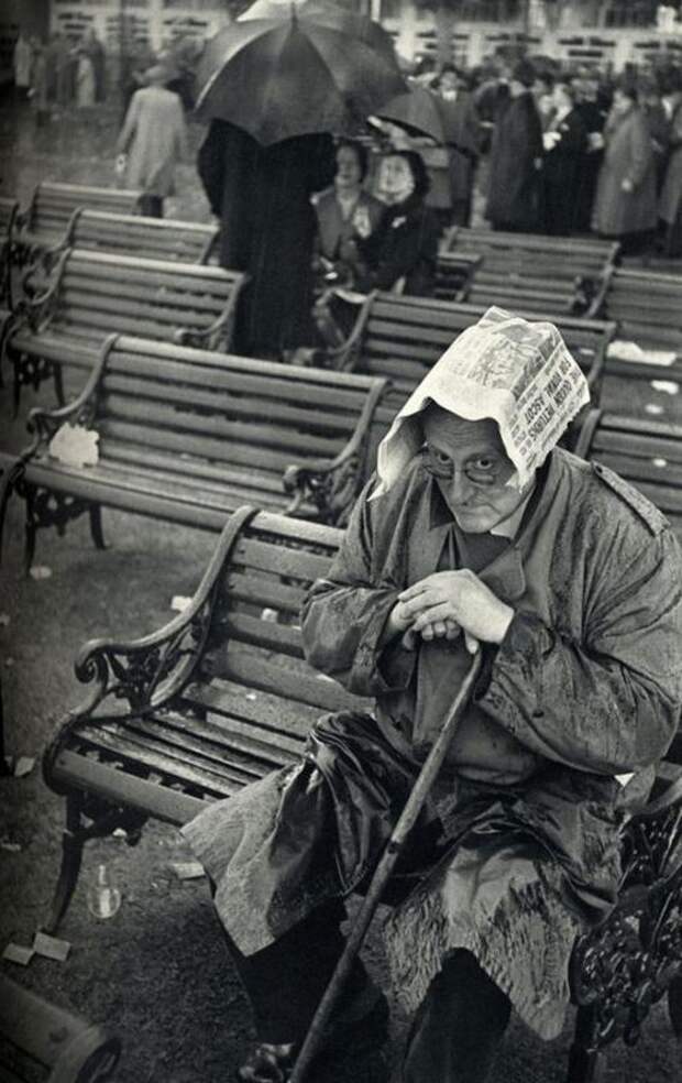 Лови момент или мастерство фотографа, подборка фотографий 2