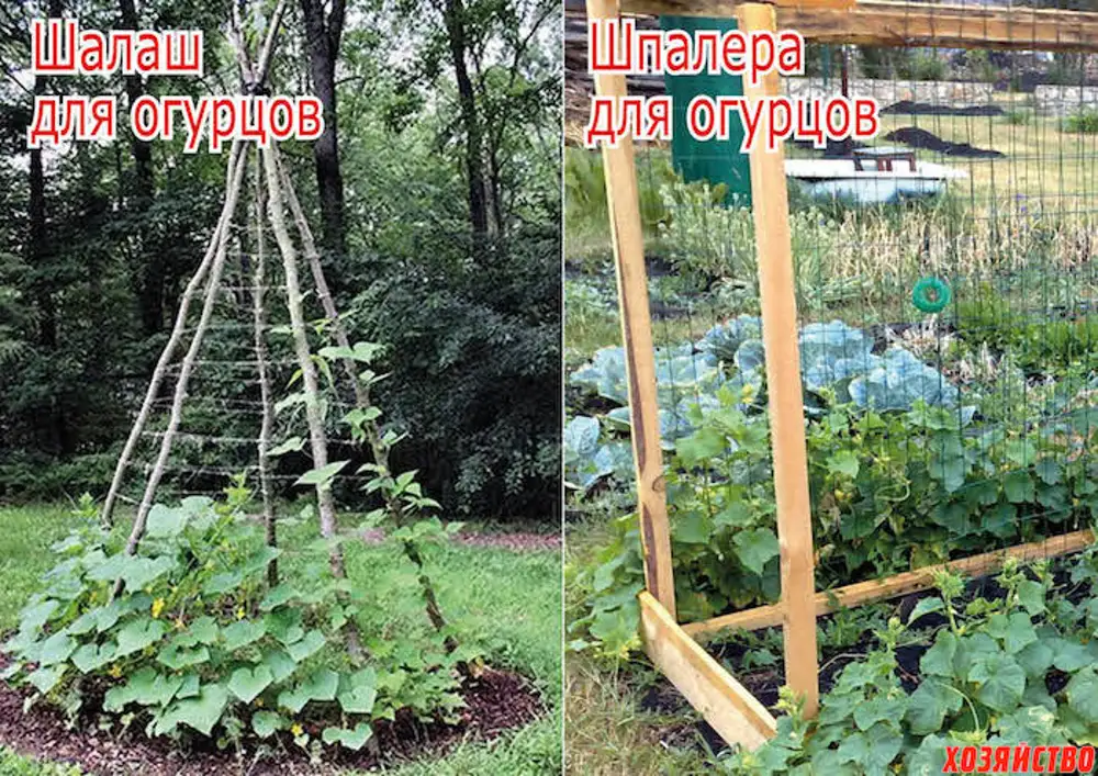 Формы Для Выращивания Огурцов Купить В Омске