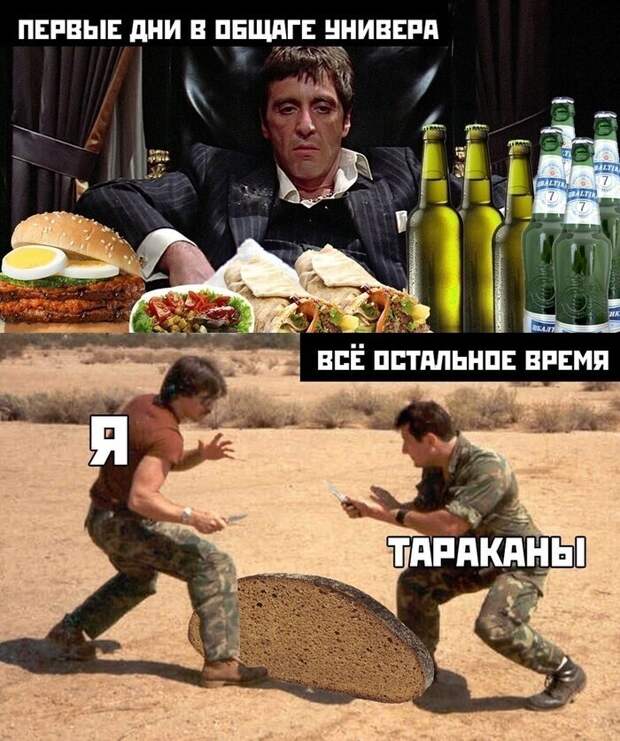 Общажная жизнь: начало Общажная жизнь: начало