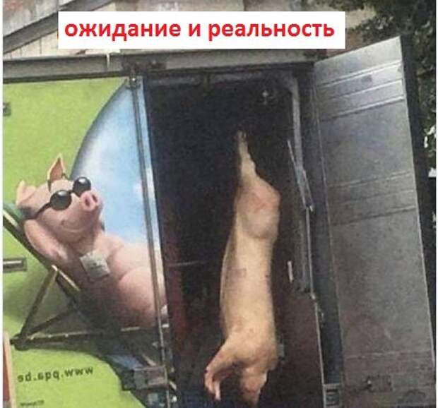 И повернулась к ним реальность своей крайне нерадостной стороной...