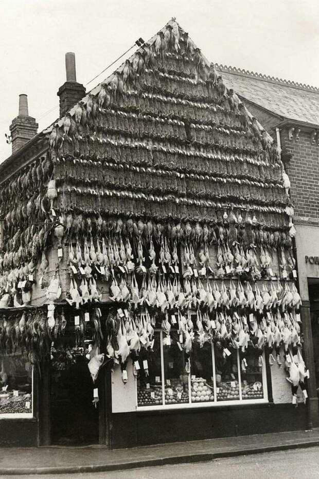 Наши предки хорошо питались. Мясная лавка в городе Хай-Уиком. Великобритания. 1938 г. жизнь, интересное, исторические фото, странности