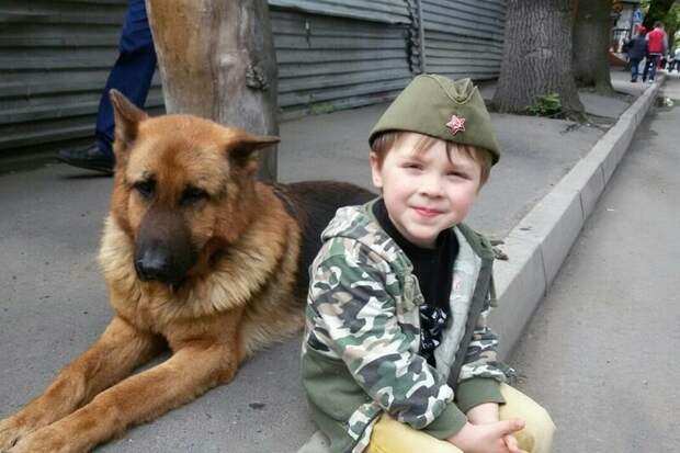 6-летний Ваня и его папа спасли уже больше 100 кошек и собак воспитание, герои, добро, животные, люди, помощь, спасение