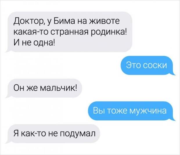 Девушка-ветеринар поделилась забавными переписками с ее клиентами