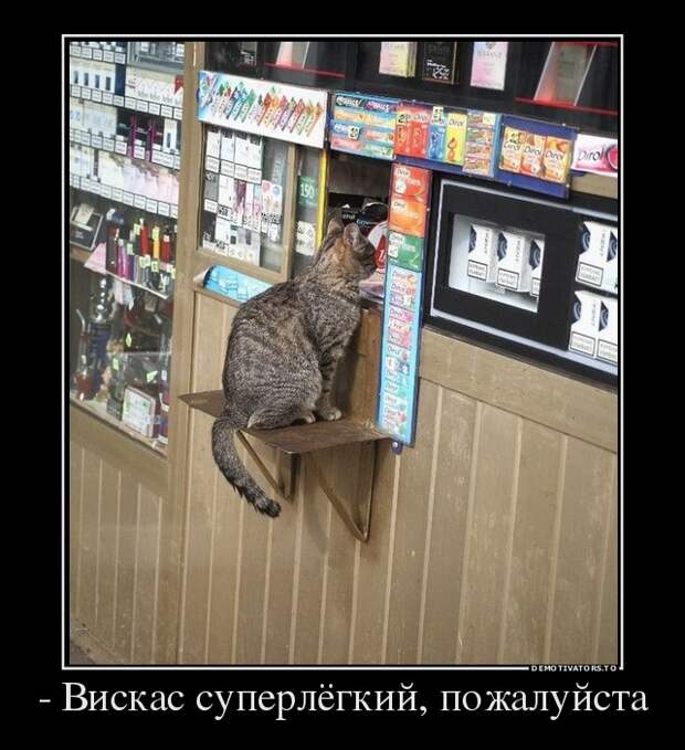Демотиваторы бревно, демотиваторы, юмор