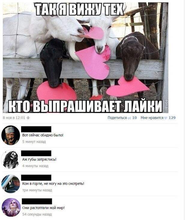 Новая партия уморительных коментариев из соцсетей Новая партия уморительных коментариев из соцсетей